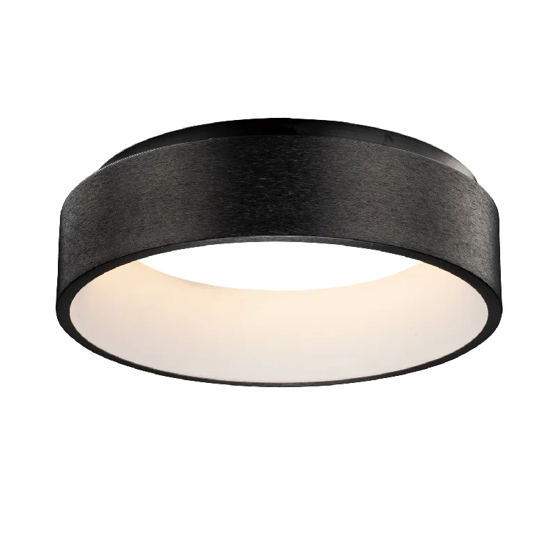 Track lighting for highlighting bookcasesiQ Ceiling Light
